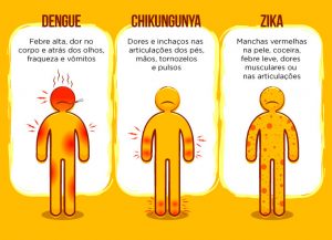 Única forma de evitar as três doenças é combater o mosquito (ilustração: Secretaria de Saúde - BA)