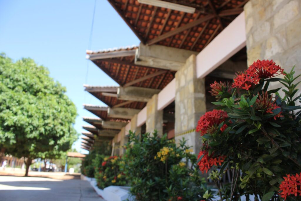 Uern tem cursos reconhecidos e renovados pelo Conselho Estadual de Educação –