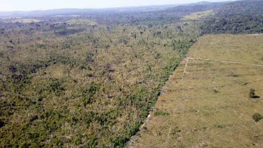 Brasil anuncia redução no desmatamento da Amazônia com a menor taxa em 11 anos