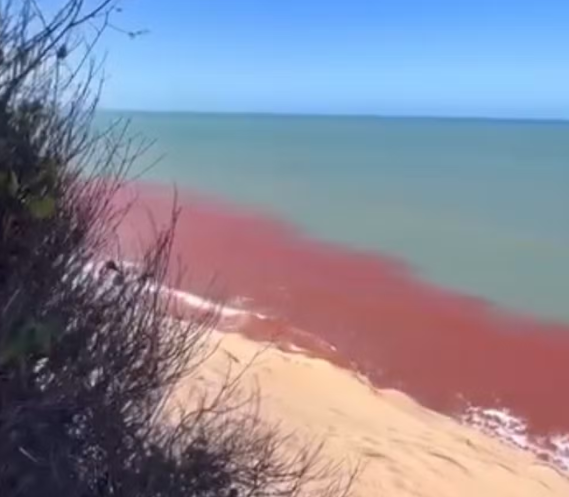 Trecho entre praias perto de Pipa apresentam tom avermelhado; Idema vai investigar o caso