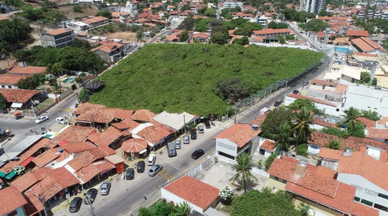Cajueiro de Pirangi é reconhecido como patrimônio natural, histórico e turístico do RN
