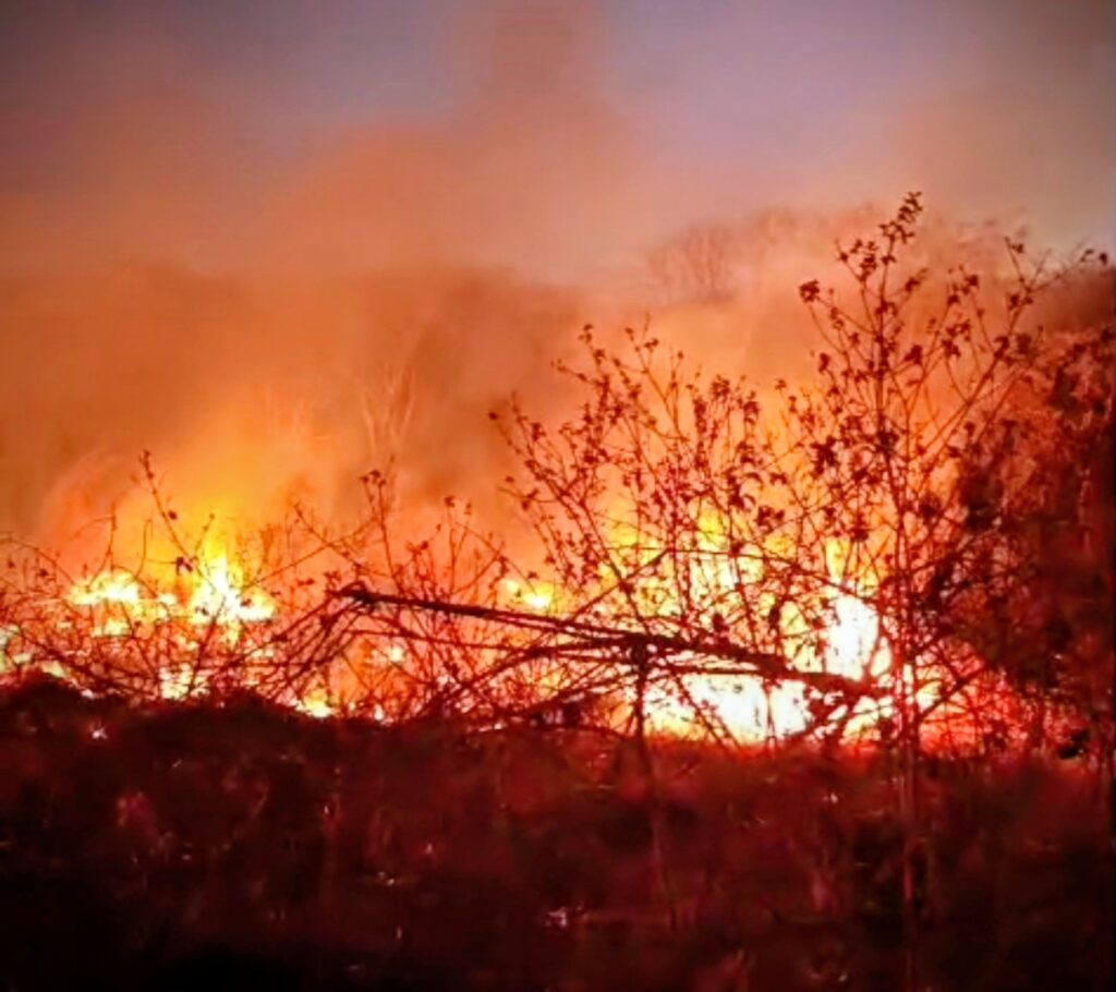 Martins enfrenta incêndios quase diário: Defesa Civil reforça ” tocar fogo no mato é crime”