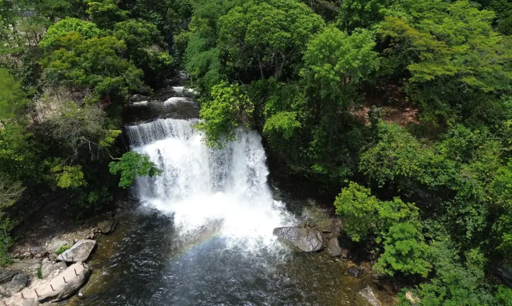 Fronteira Cerrado: ativistas pedem mesma prioridade dada à Amazônia