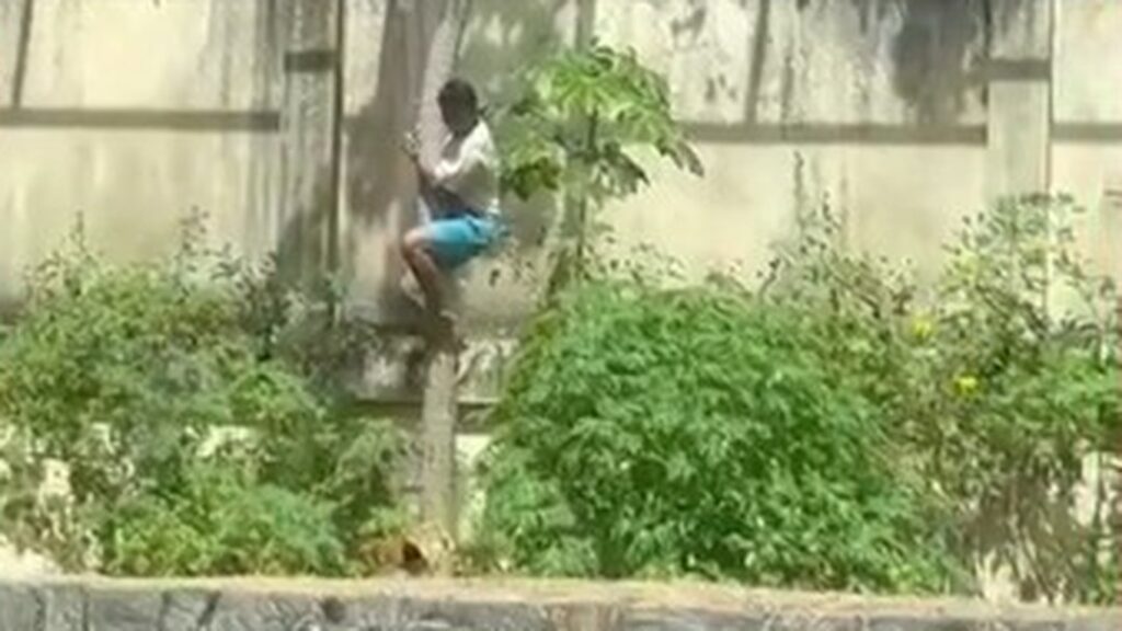 Homem é morto por leoa após entrar em jaula em zoológico de João Pessoa