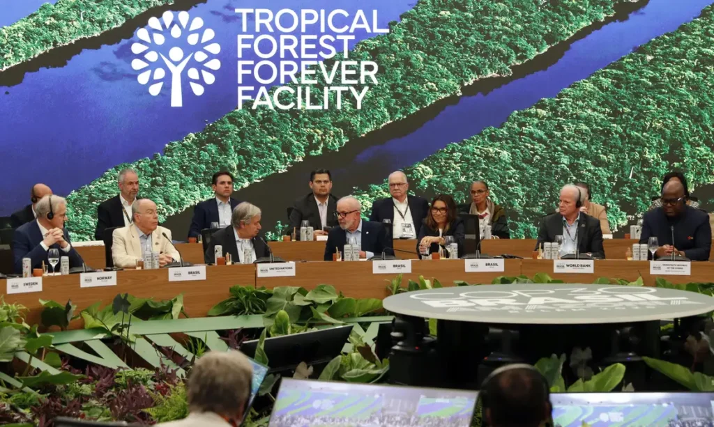 Fundo para florestas tropicais atinge aporte de US$ 5,5 bilhões