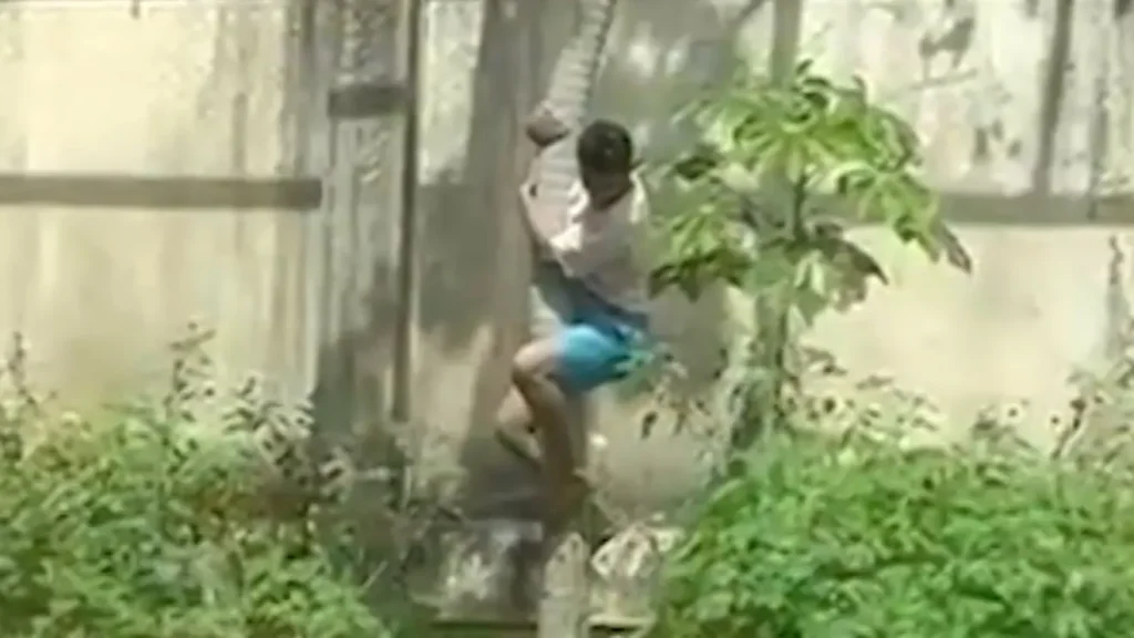 Jovem morto por leoa em zoológico de João Pessoa tinha sido detido 10 vezes